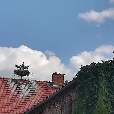 Storchenblick * Wulkow (Jerichow)